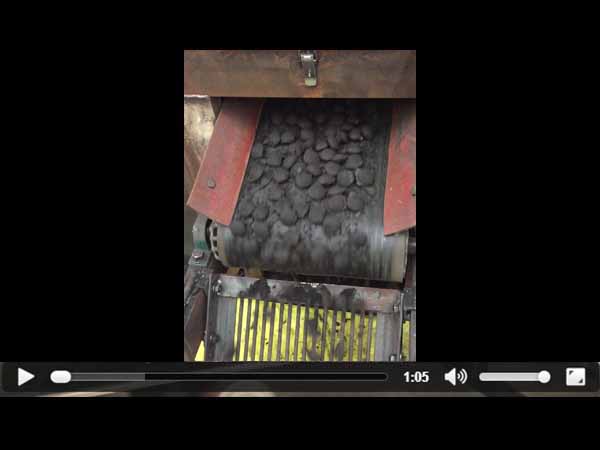 ���d�F����ҕ�l